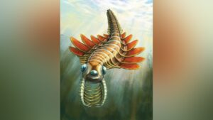 Paleontologists discover ‘moth-like’ predator that lived 506 million years ago