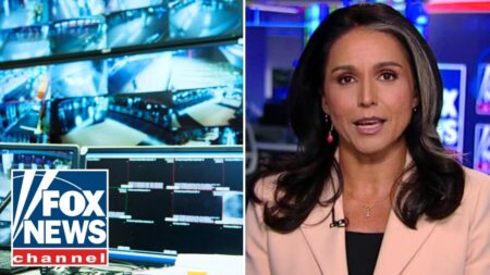 Tulsi Gabbard rips surveillance on her: ‘POLITICALLY MOTIVATED’