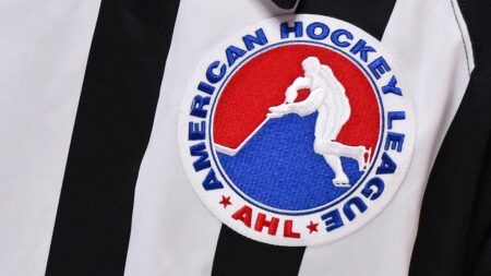 Hockey announcer confronted by raucous fan, hit with chair during live broadcast