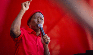 Who is Julius Malema, the South African politician behind ‘kill the farmer’ chant?