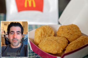 Advertising expert lifts lid on McDonald’s nugget claim