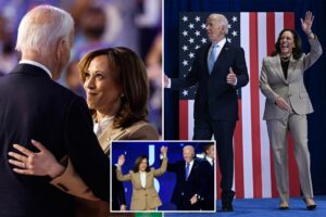 Biden ‘totally f–ked’ Kamala Harris’ 2024 election chances by refusing to drop out sooner: top adviser