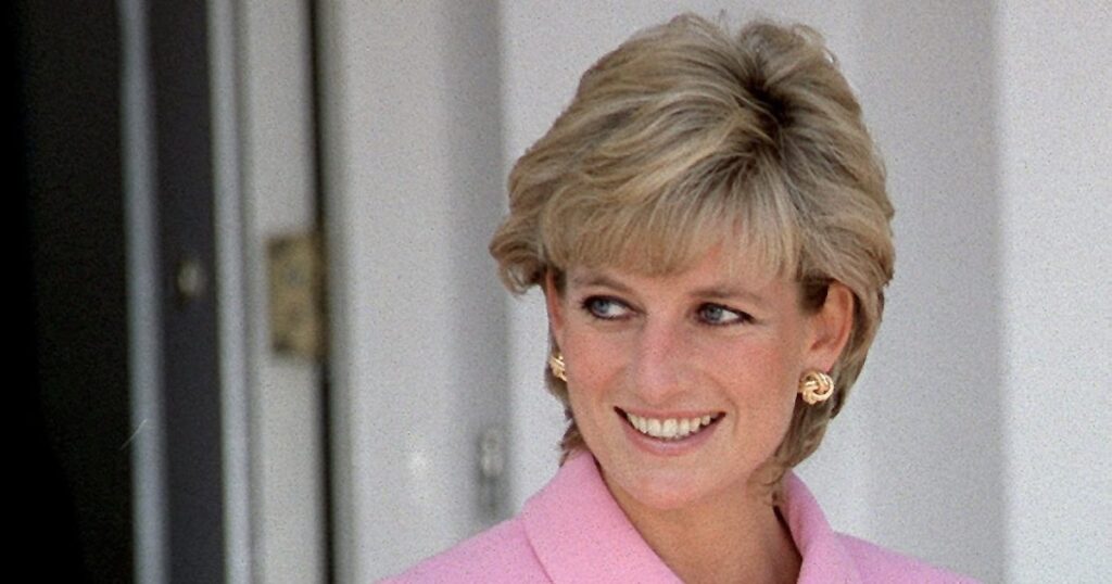 How Princess Diana Would React to Son Harry’s BBC Interview: Expert