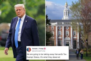 Trump to take away Harvard’s tax-exempt status: ‘It’s what they deserve!’