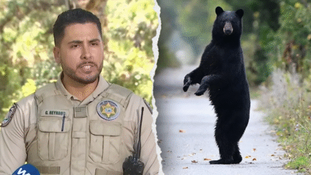 Florida man, 89, and his dog mauled to death by black bear in state’s first fatal attack