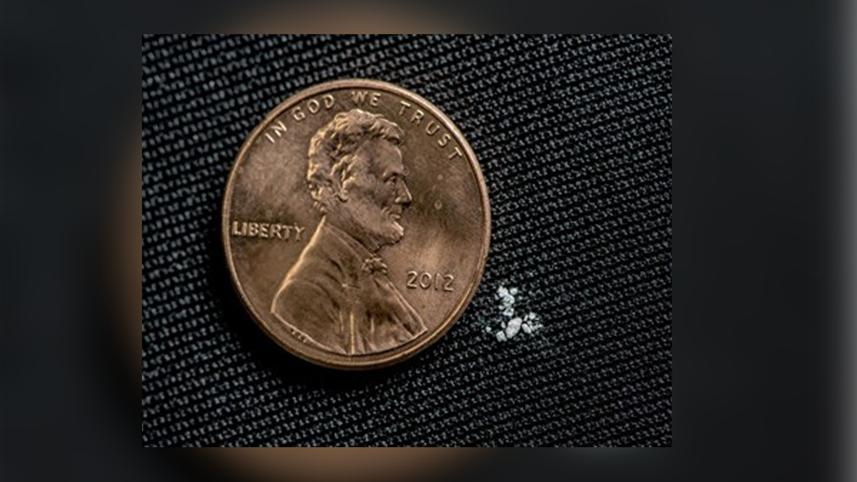 North Carolina drug bust
