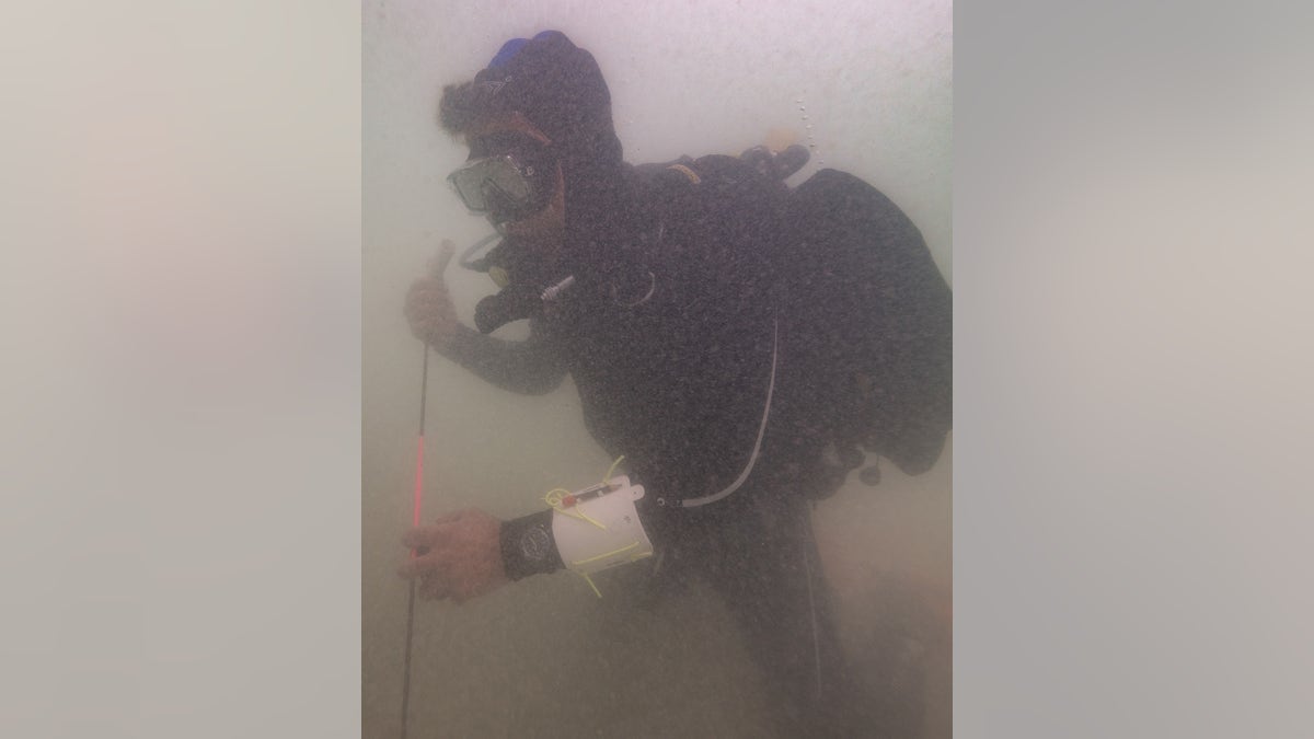 Diver exploring wreck