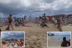 ‘Dumb’ beachgoing tourists blown away by airplane in wild video: ‘That’s a lot of stupid people’