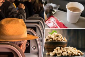 Plane passenger’s massive, printed list of allergy demands stirs up backlash: ‘I’m allergic to the smell of her’