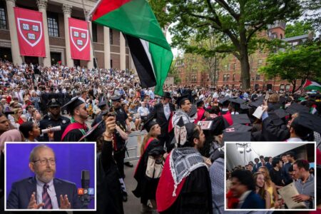 Harvard’s president admits lack of conservative views on campus is a ‘problem’