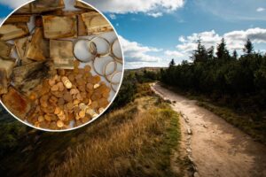 Surprise gold stash uncovered by shocked hikers — and it could be worth thousands