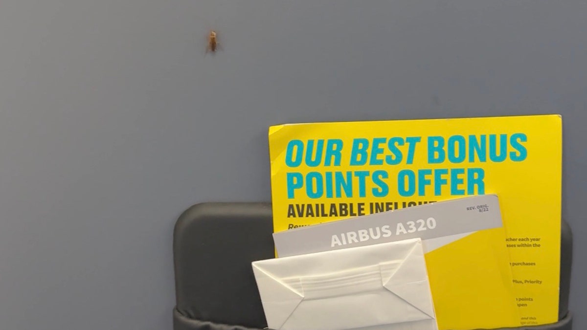 A roach crawling on the wall of an airplane.