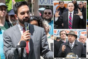 Exclusive | Zhoran Mamdani spews antisemitic tropes, falsely claims taxpayers foot the bill for NY pols’ Israel trips: Jewish activists