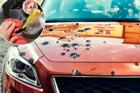 This thing you touch every day is filthier than your toilet — but you probably never clean it