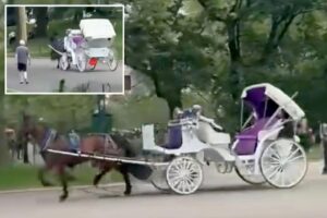 Central Park horse runs wild without driver in shocking video: ‘One of the most terrifying experiences’