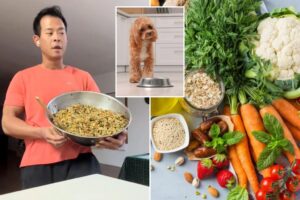 Is ‘human kibble’ the easiest healthy eating hack? Dietitian weighs in on viral trend