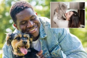 Most people prefer to spend time and de-stress with pets over partners, new research finds