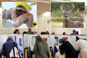 US voters were asked to compare political parties to animals — and Dems were the weakest, slowest kind: report
