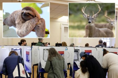 US voters were asked to compare political parties to animals — and Dems were the weakest, slowest kind: report