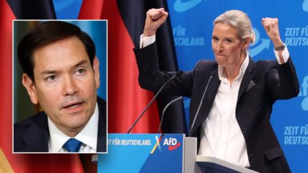 Intelligence agency classifies country’s popular Alternative for Germany party as ‘extremist’