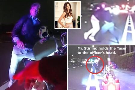 Grim moment ex-Real Housewives star’s brother is fatally shot by cop during traffic stop