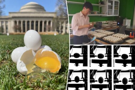 Tired of cracked eggs? Scientists reveal the surprising storage method to avoid that