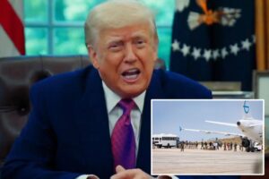 Trump offers illegal migrants an ‘exit bonus’ — and ‘free flight out of our country’ — via self-deport executive order