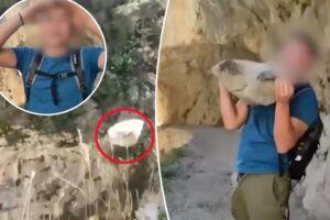 Young tourist faces massive fine for tossing large rock into visitor-filled gorge: ‘Your little joke could’ve ended badly’