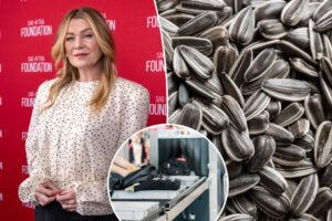Ellen Pompeo was stopped at TSA for fancy sunflower seeds — here are the rules for food in carry-on luggage