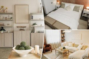 I transformed my friend’s apartment into an urban oasis for about ,500 – here’s how