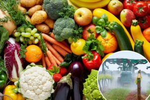 ‘Dirty dozen’ fruits and vegetables found to be contaminated with pesticides — including chemicals banned in the EU