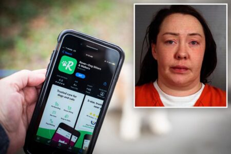 Rover dog walker steals 0K in irreplaceable jewelry from her client and and pawns K worth to shops that liquified it: cops