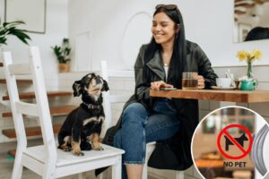 Man confronts woman with dog inside ‘no pets’ coffee shop — sparking heated debate