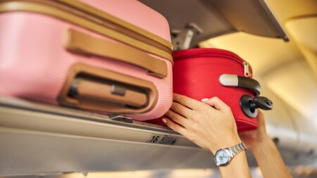 Airline passenger sparks heated debate about ‘rarely enforced’ baggage policy on flight