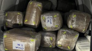 San Diego authorities arrest 3 noncitizens allegedly involved in transporting more than M worth of meth
