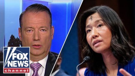‘COMPLETELY DISGUSTING’: Acting ICE director tears into sanctuary city mayor