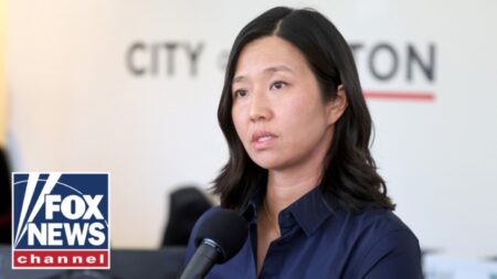 ‘IDIOTS!’: Sanctuary city mayor sparks OUTRAGE with anti-ICE rhetoric