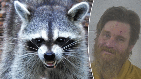 Kentucky man arrested for releasing raccoon into business after previous mule-riding incidents