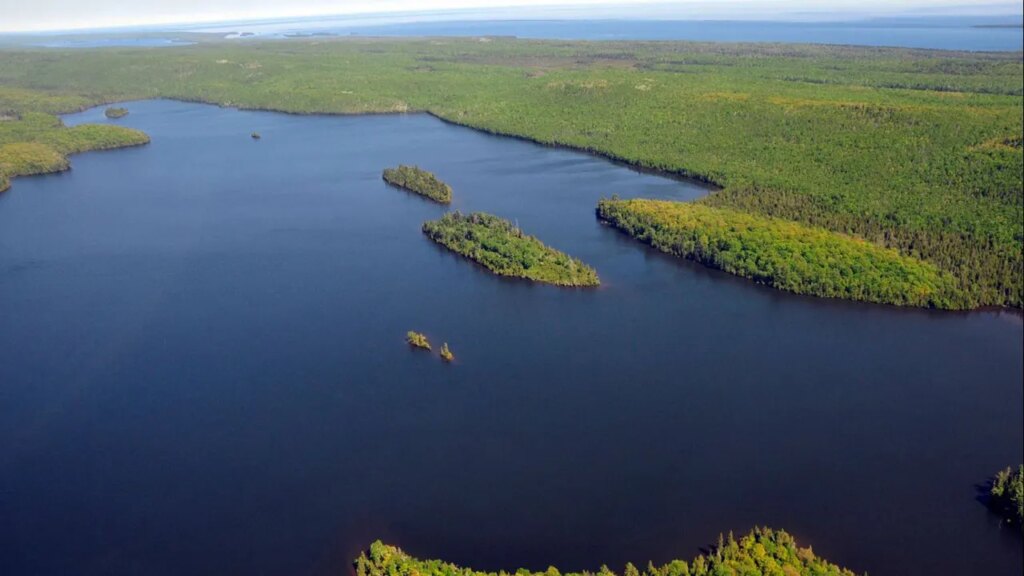 2 camping in Michigan on remote wilderness island are found dead