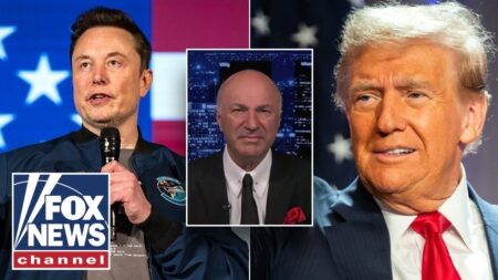 Trump, Musk ‘need’ each other: Kevin O’Leary