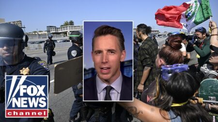 ‘BOUGHT AND PAID FOR’: GOP senator rips into Los Angeles’ ‘flash mobs’