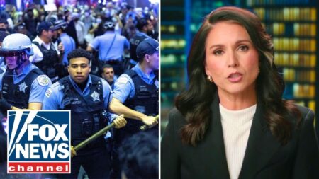 Tulsi Gabbard slams Dems: ‘Insulting our intelligence’