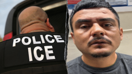 Illegal immigrant faces charges for spitting on ICE officer in Los Angeles: ‘OK, you got me’