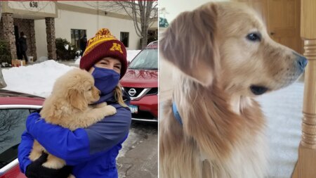 Dog shot during Minnesota lawmaker’s murder put down days after attack