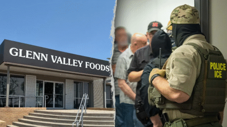 Massive identity theft scheme led by illegal immigrants uncovered after raid at meatpacking plant