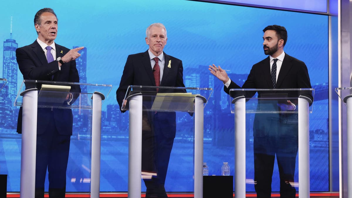 Cuomo, Tilson, and Mamdani
