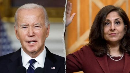 ‘Presidential incapacity’: Senate Republicans seek paper trail of Biden’s autopen use