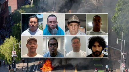 DHS arrests ‘worst of the worst’ migrants in LA despite rioters, pols pushing back