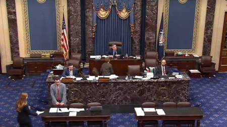 Capitol Police arrest man who disrupted Senate debate on Trump’s ‘big, beautiful bill’: ‘You people are awful’