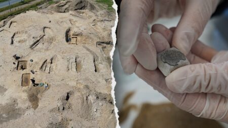 Viking-era burial site with elite family treasures and gifts discovered, plus an ‘unusual casket’